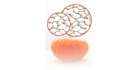 Snow White Pumpkin Seeds