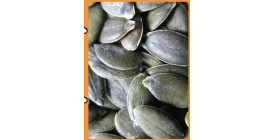 Grown without Shell Grade AA