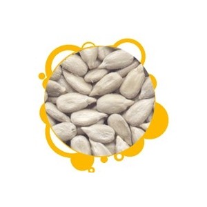 Sunflower Seeds Kernels Bakery Grade