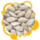 Sunflower Seeds Kernels Bakery Grade