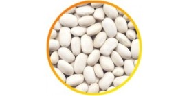 White medium kidney beans
