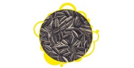 Black Sunflower Seeds